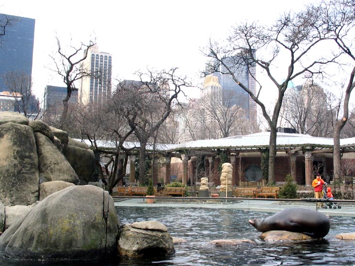 Sea Lion, Central Park Zoo, Central Park, Manhattan, March 13, 2007