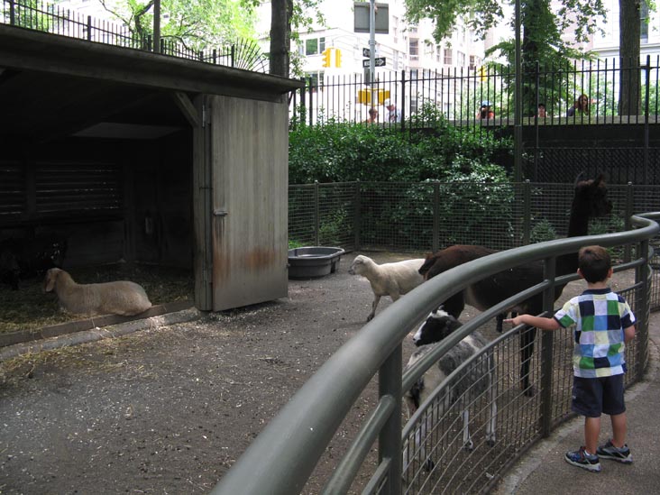 Tisch Children's Zoo, Central Park, Manhattan, July 7, 2009