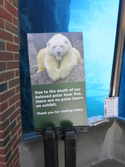 Polar Bear Exhibit, Central Park Zoo, Central Park, Manhattan, September 17, 2013