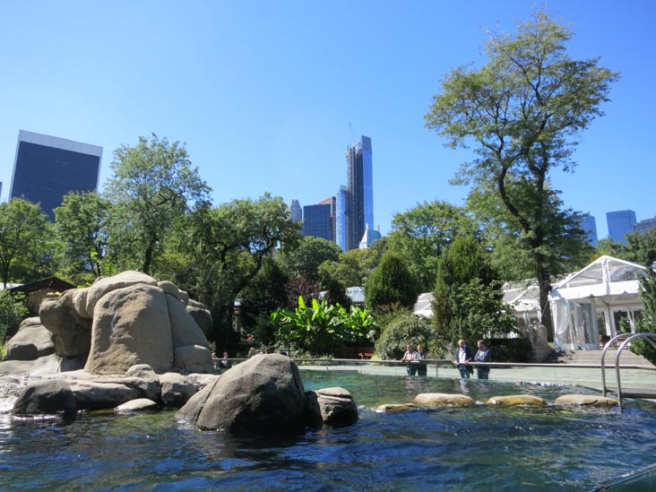 One57 From Central Park Zoo, Central Park, Manhattan, September 17, 2013