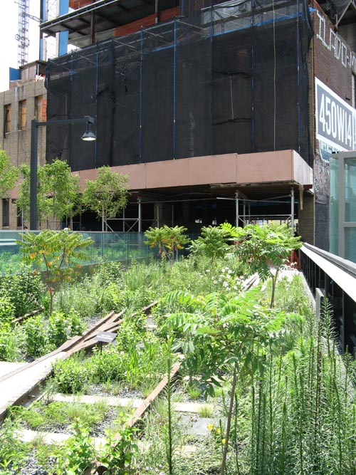 High Line At 14th Street, Manhattan