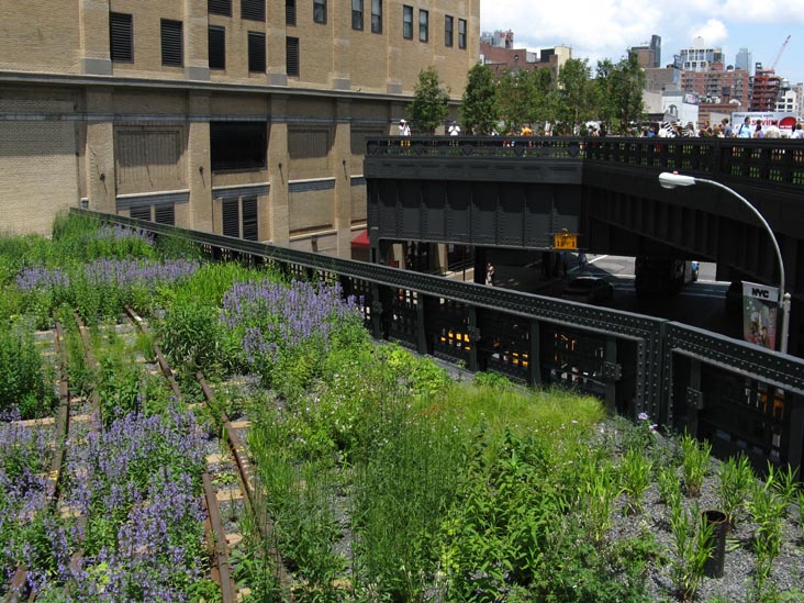 High Line Between 16th and 17th Streets Over Tenth Avenue, Manhattan, June 27, 2009