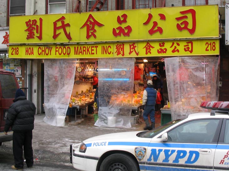 Hoa Choy Food Market, 218 Canal Street, Chinatown, Manhattan