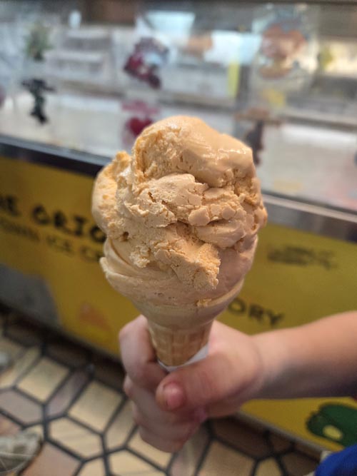 Chinatown Ice Cream Factory, 65 Bayard Street, Chinatown, Lower Manhattan, October 2, 2025