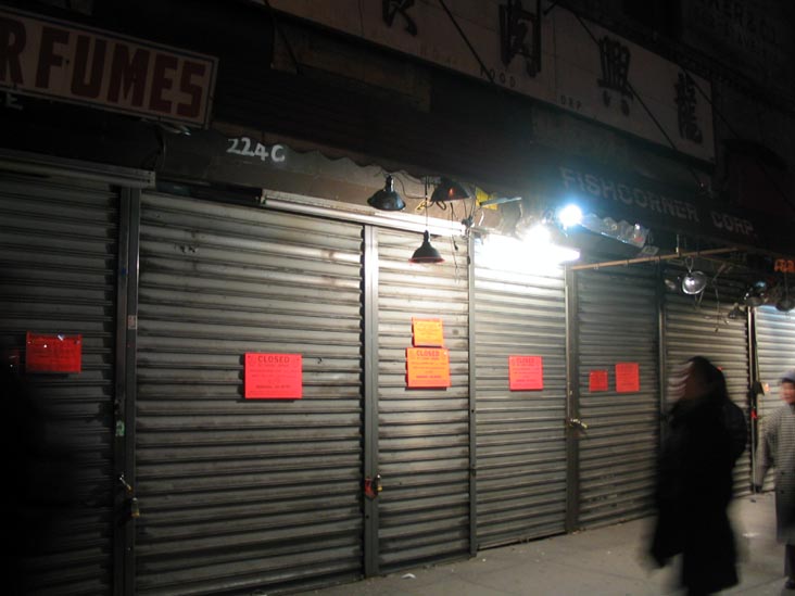 Counterfeit Triangle, Canal Street, Chinatown, Lower Manhattan, March 3, 2008