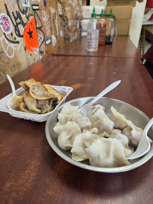 Dumplings, China North Dumpling, Chinatown, Lower Manhattan, October 2, 2025