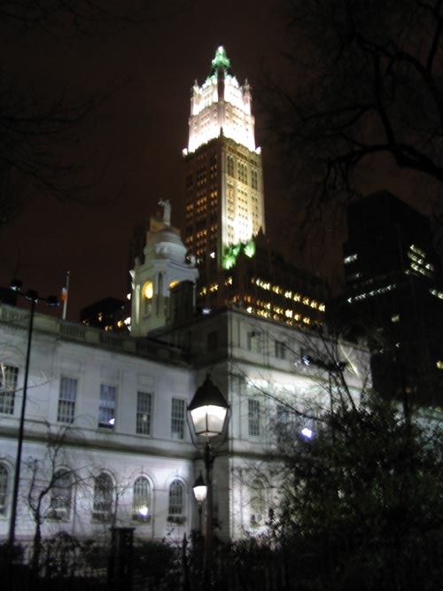 Woolworth Building From City Hall Park, Lower Manhattan