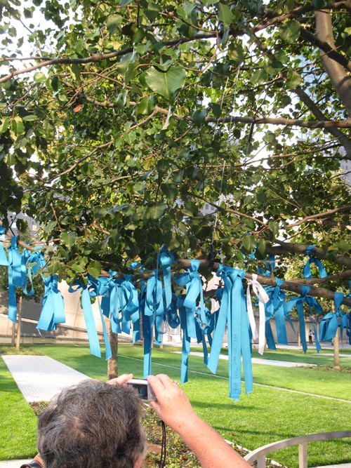 Survivor Tree, September 11 Memorial, World Trade Center, Financial District, Lower Manhattan, September 12, 2011