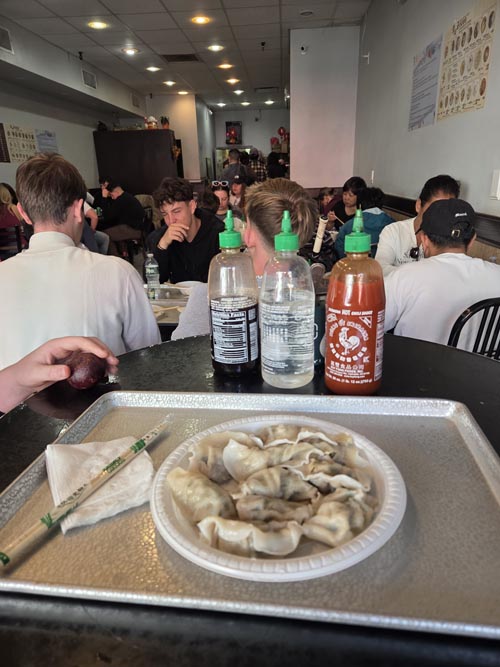 Dumplings, Shu Jiao Fu Zhou, 295 Grand Street, Lower East Side, Manhattan, October 2, 2025