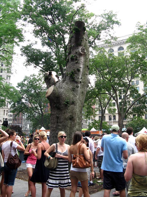 Madison Square Park, Midtown Manhattan, June 8, 2008
