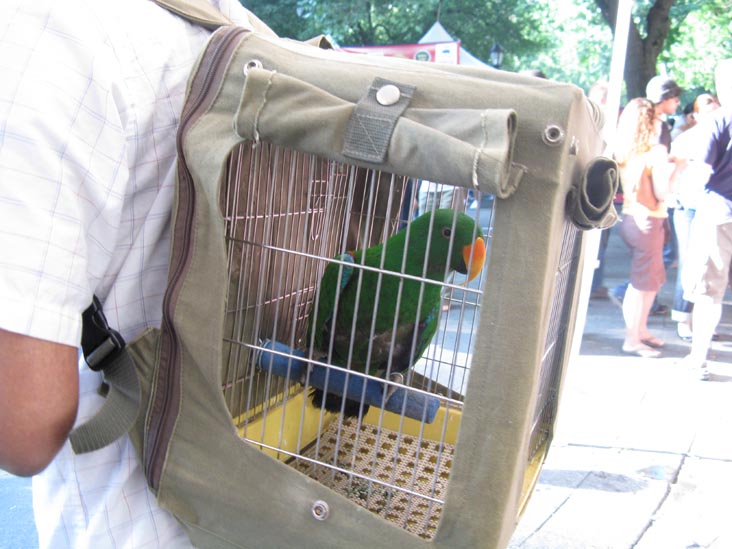 Parrot, 7th Annual Big Apple Barbecue Block Party, Madison Square Park, Midtown Manhattan, June 14, 2009