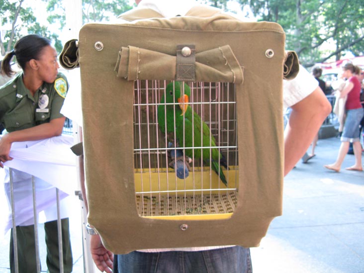 Parrot, 7th Annual Big Apple Barbecue Block Party, Madison Square Park, Midtown Manhattan, June 14, 2009