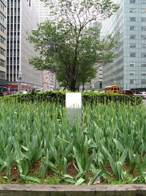 57th Street and Park Avenue, Looking South, Midtown Manhattan, May 7, 2009