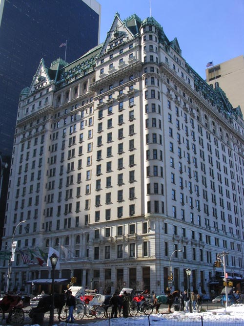 Plaza Hotel, 750 Fifth Avenue, Midtown Manhattan, February 2, 2004