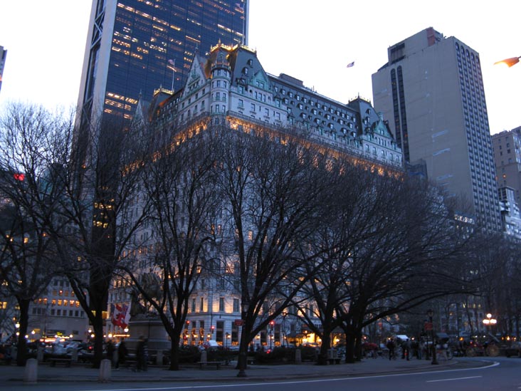 Plaza Hotel, 750 Fifth Avenue, Midtown Manhattan, January 5, 2009