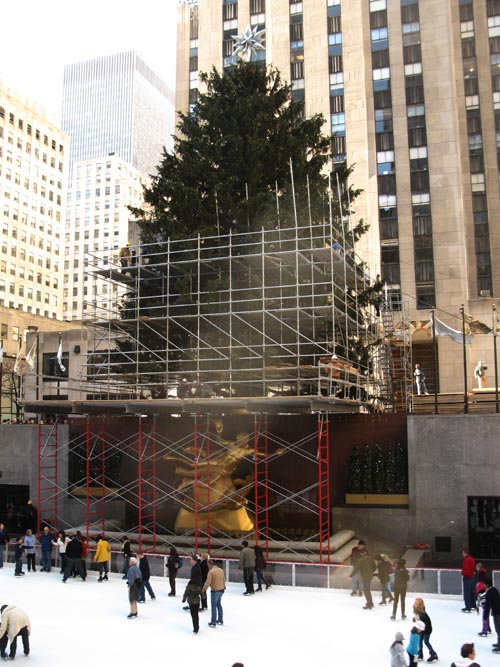 Rockefeller Center Christmas Tree, Rockefeller Center, Midtown Manhattan, November 25, 2011