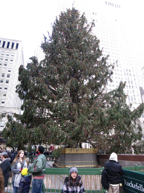 Rockefeller Center Christmas Tree, Rockefeller Center, Midtown Manhattan, December 31, 2012