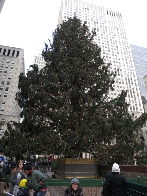 Rockefeller Center Christmas Tree, Rockefeller Center, Midtown Manhattan, December 31, 2012