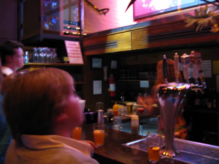 Bar, Hawaiian Tropic Zone, 729 Seventh Avenue, Times Square, Midtown Manhattan