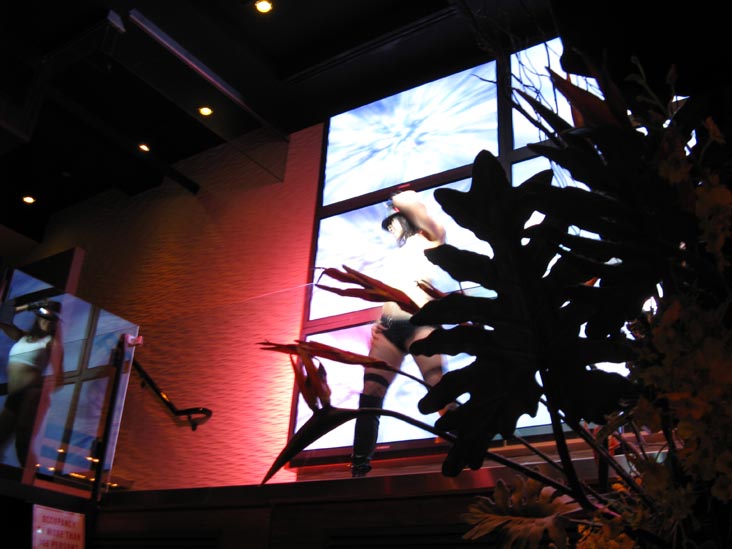 Hawaiian Tropic Zone, 729 Seventh Avenue, Times Square, Midtown Manhattan