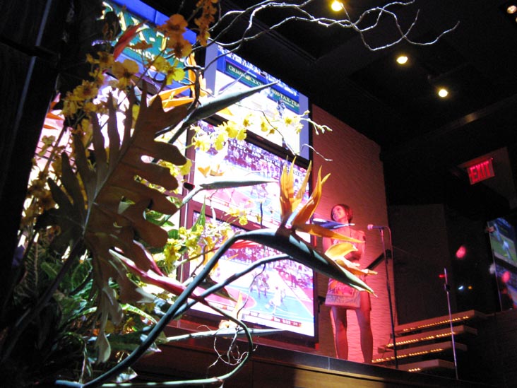 Pageant Winner Announcement, Hawaiian Tropic Zone, 729 Seventh Avenue, Times Square, Midtown Manhattan