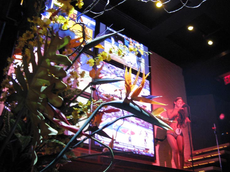 Pageant Winner, Hawaiian Tropic Zone, 729 Seventh Avenue, Times Square, Midtown Manhattan