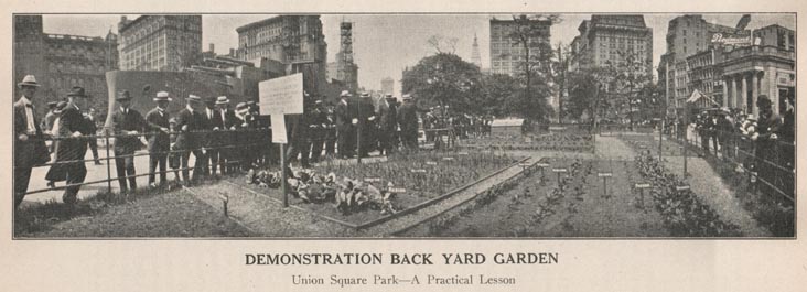 Back Yard Garden Demonstration, 1916 Parks Department Annual Report