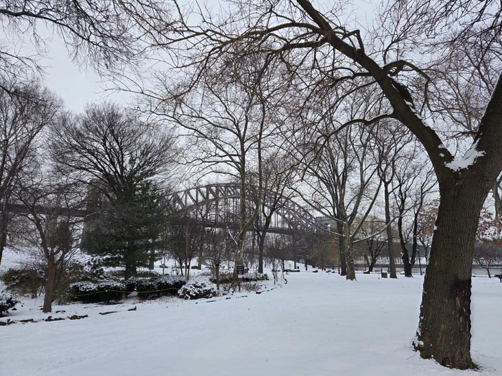 White Garden, Randall's Island, December 28, 2025