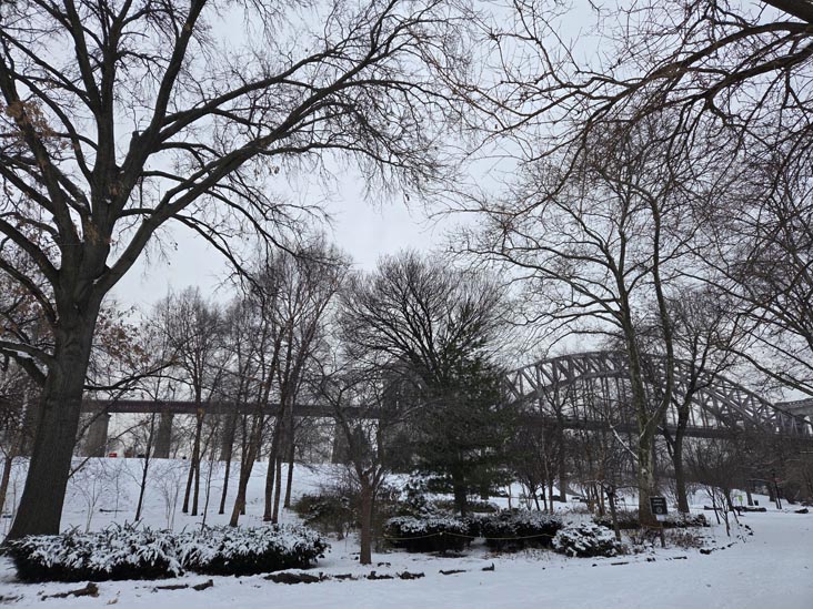 White Garden, Randall's Island, December 28, 2025