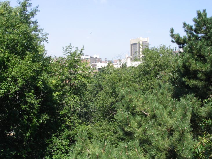 View From Marcus Garvey Park, Harlem, Manhattan