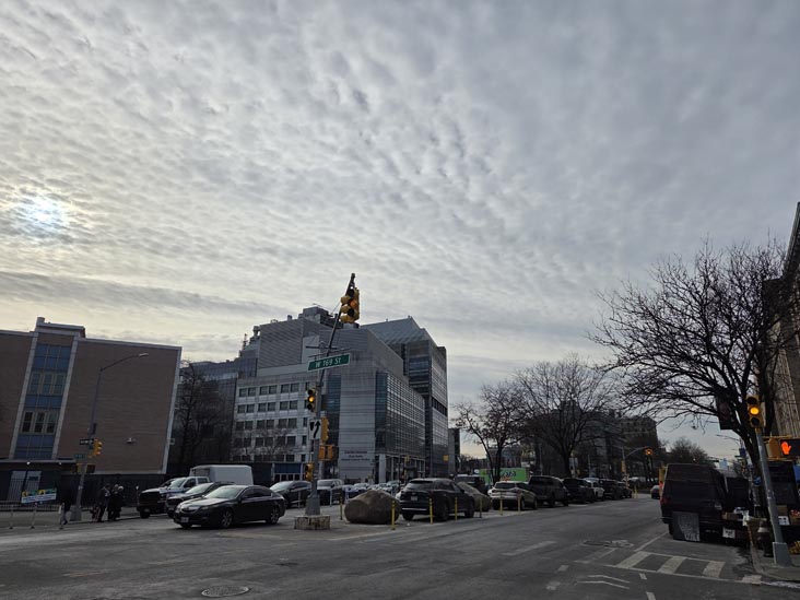 St. Nicholas Avenue at West 169th Street, Washington Heights, Manhattan, January 23, 2026