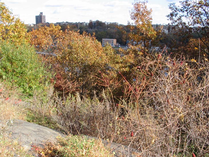Highbridge Park, Washington Heights, Manhattan, November 5, 2004