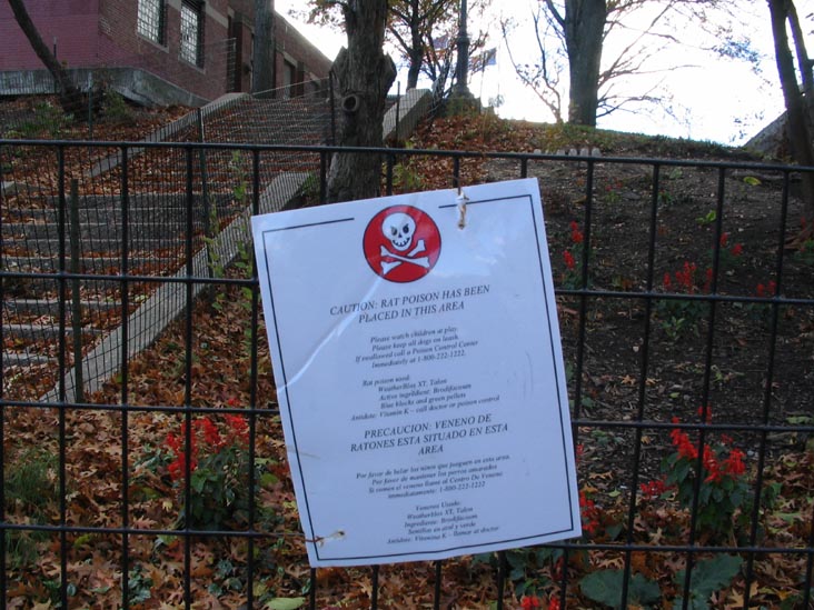 Rat Poison Notice, Washington Heights, Manhattan