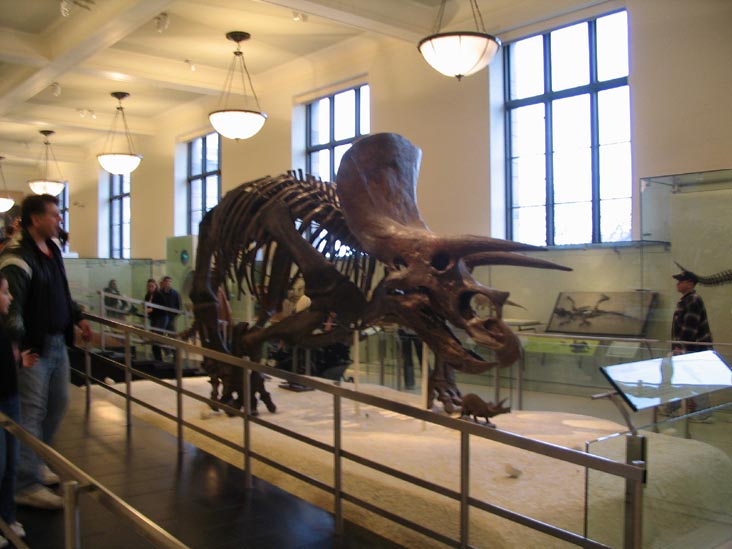 Hall of Ornithischian Dinosaurs, American Museum of Natural History, Upper West Side, Manhattan, February 4, 2006