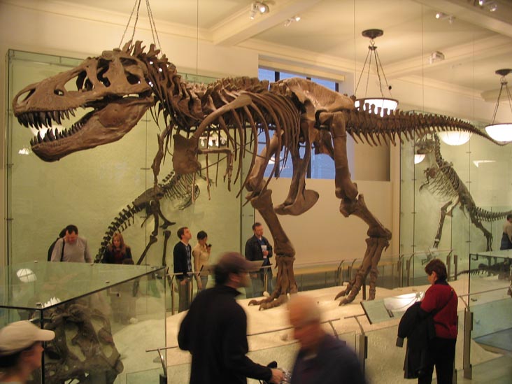 Hall of Saurischian Dinosaurs, American Museum of Natural History, Upper West Side, Manhattan, February 4, 2006