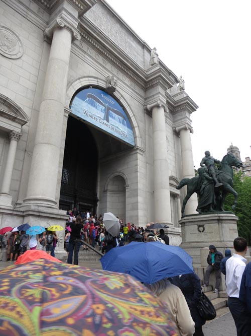 American Museum of Natural History, Upper West Side, Manhattan, June 14, 2013