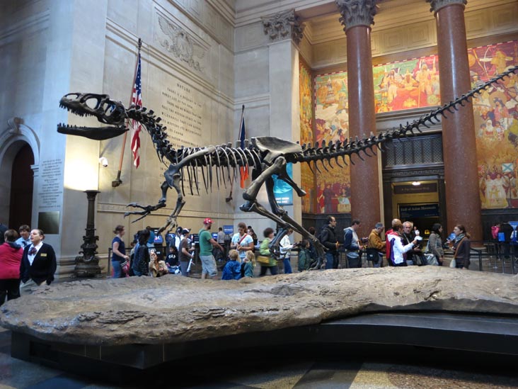 Theodore Roosevelt Memorial Hall, American Museum of Natural History, Upper West Side, Manhattan, June 14, 2013