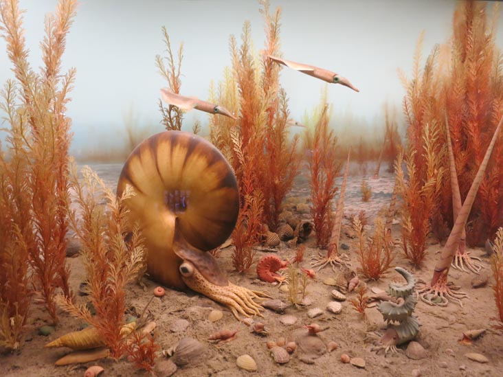 Milstein Hall of Ocean Life, American Museum of Natural History, Upper West Side, Manhattan, June 19, 2015