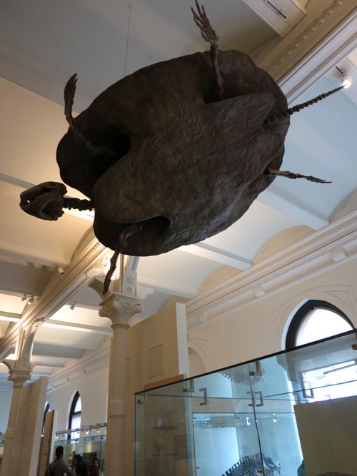 Hall of Vertebrate Origins, American Museum of Natural History, Upper West Side, Manhattan, July 12, 2013