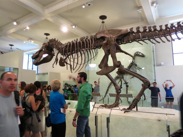 Hall of Saurischian Dinosaurs, American Museum of Natural History, Upper West Side, Manhattan, July 12, 2013