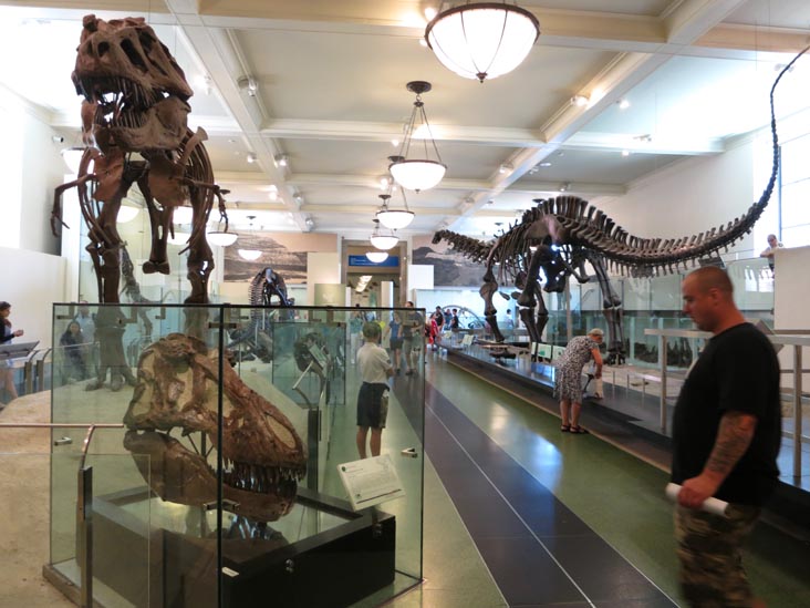 Hall of Saurischian Dinosaurs, American Museum of Natural History, Upper West Side, Manhattan, August 2, 2013