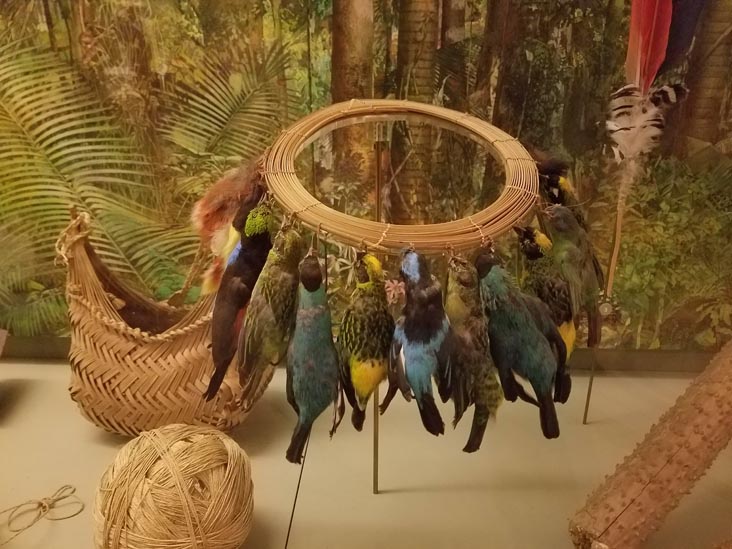 American Museum of Natural History, Upper West Side, Manhattan, December 29, 2016