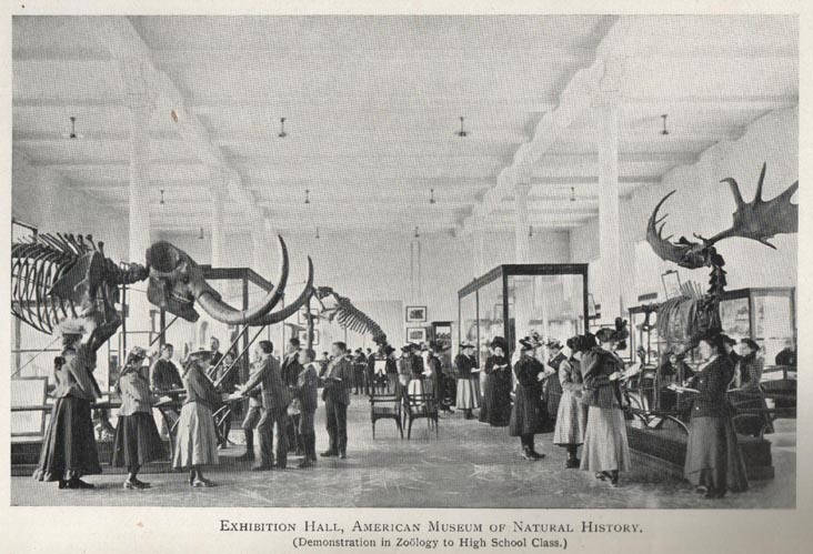 Exhibition Hall, American Museum of Natural History, From 1902 Parks Department Annual Report