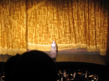 Curtain Call, Siegfried, Metropolitan Opera House, Lincoln Center for the Performing Arts, Upper West Side, Manhattan, April 29, 2004