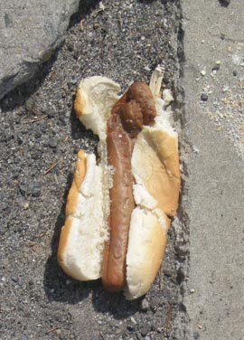 Hot Dog, Riverside Park, Upper West Side, Manhattan