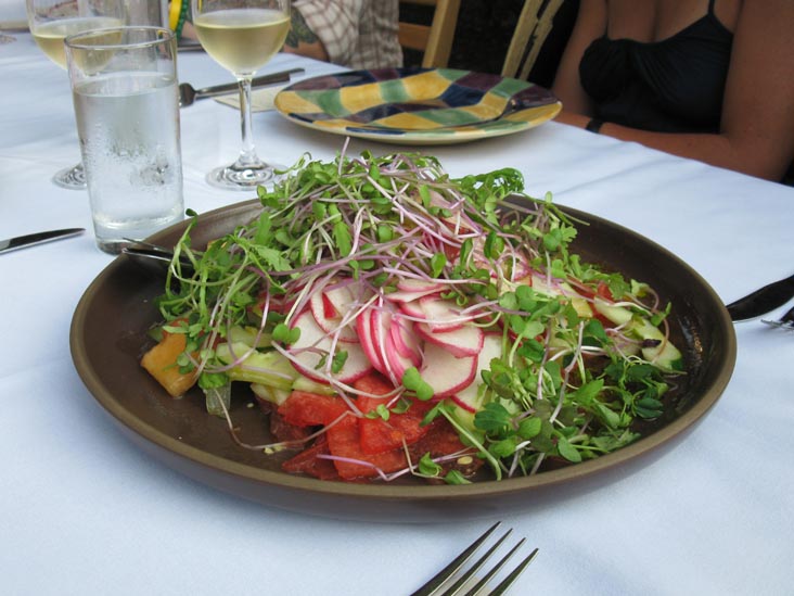 Spicy Melon, Cucumber and Radish Salad, Outstanding in the Field Bill Telepan Dinner, La Plaza Cultural, 8th Street Between Avenues B and C, East Village, Manhattan, August 31, 2010