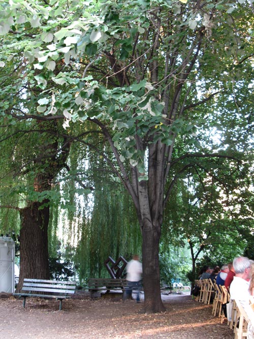 Outstanding in the Field Bill Telepan Dinner, La Plaza Cultural, 8th Street Between Avenues B and C, East Village, Manhattan, August 31, 2010