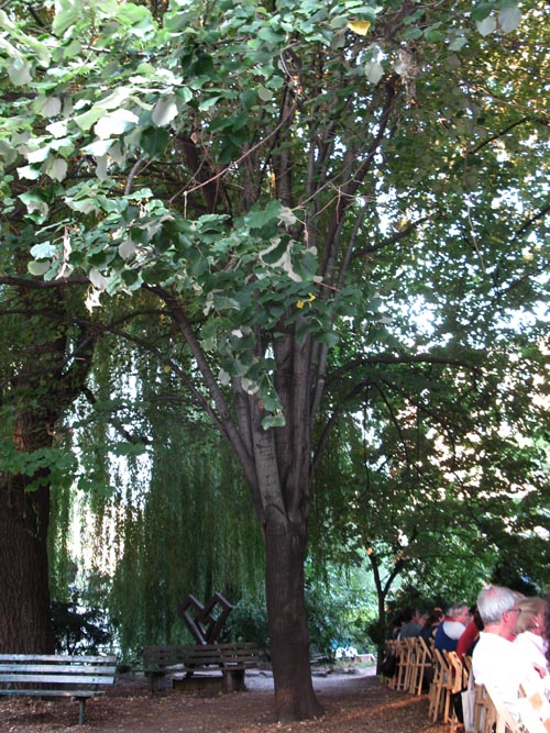 Outstanding in the Field Bill Telepan Dinner, La Plaza Cultural, 8th Street Between Avenues B and C, East Village, Manhattan, August 31, 2010