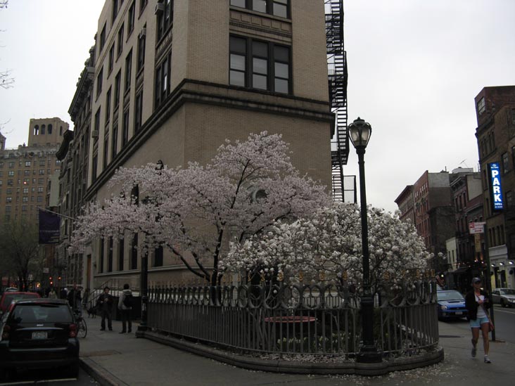 Stuyvesant Street and East 9th Street, East Village, Manhattan, April 6, 2009