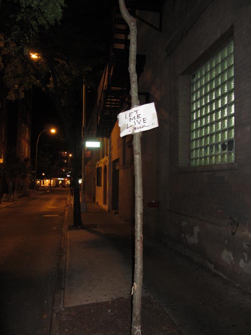 Minetta Lane, Greenwich Village, Manhattan, September 14, 2012